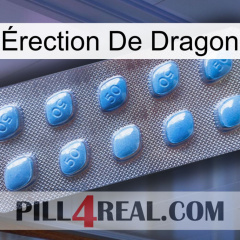 Érection De Dragon viagra3